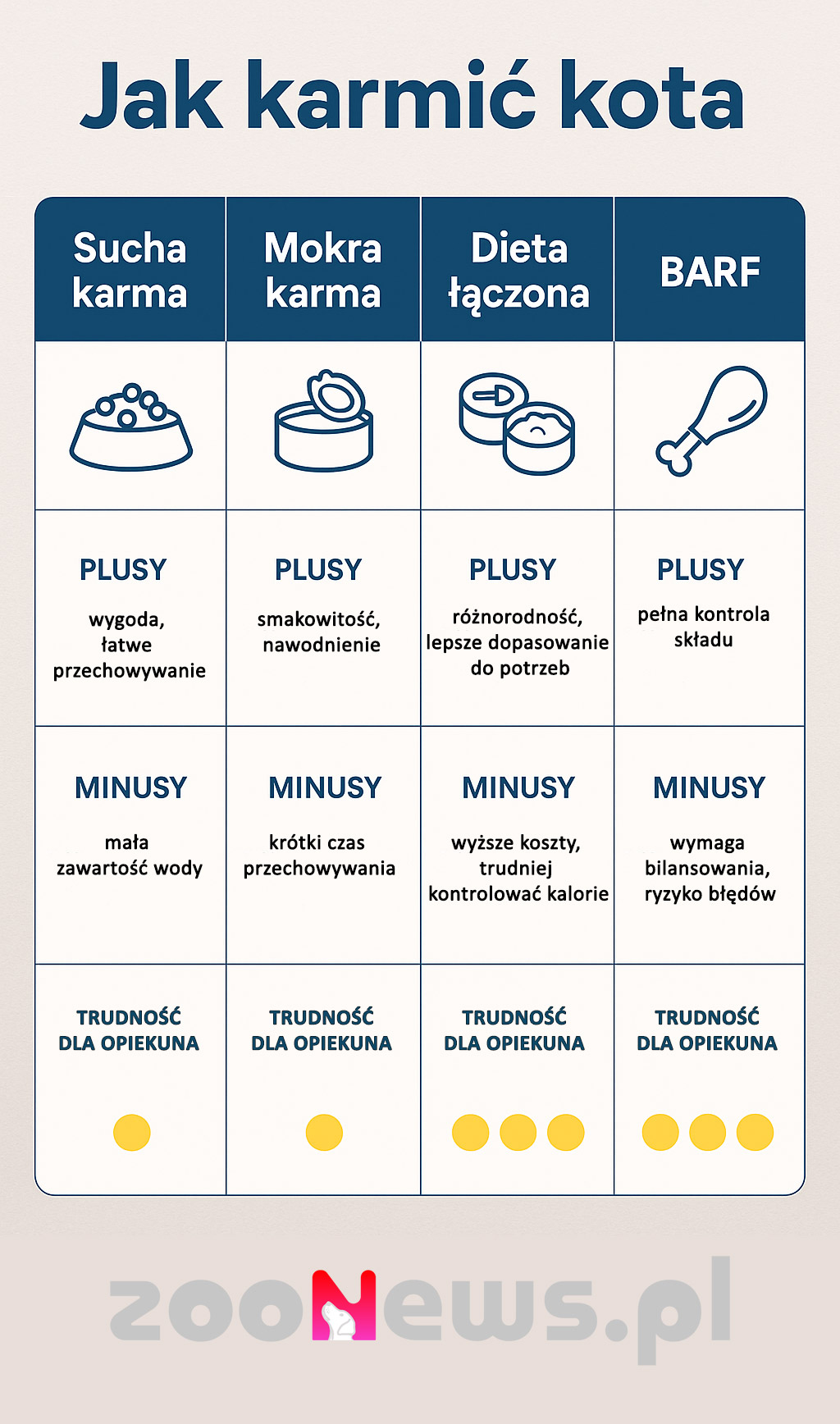 Jak karmić kota infografika