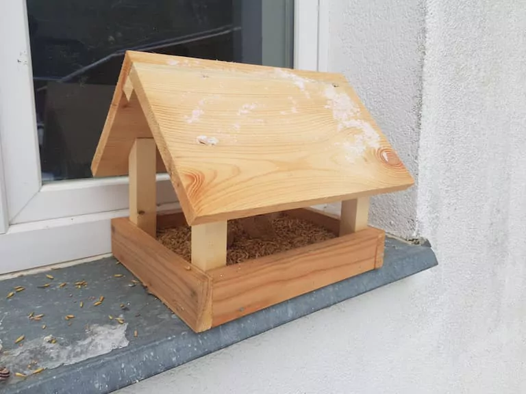 Karmnik dla ptaków za oknem