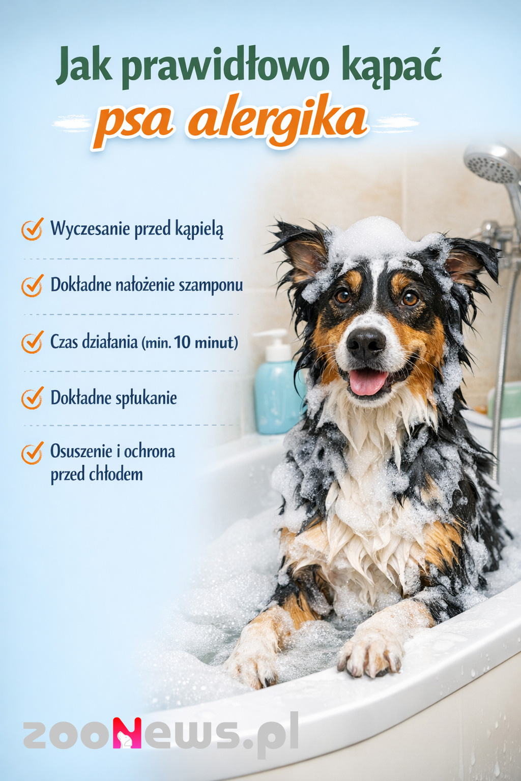 Jak dbać o psa alergika infografika