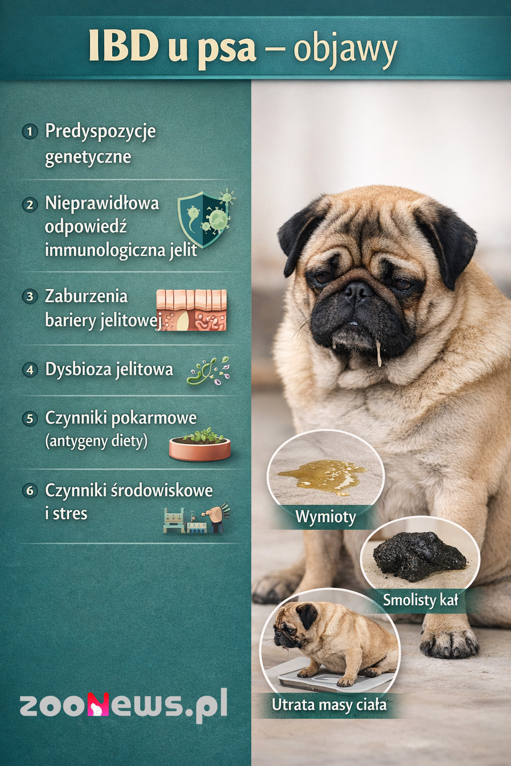 IBD u psa infografika