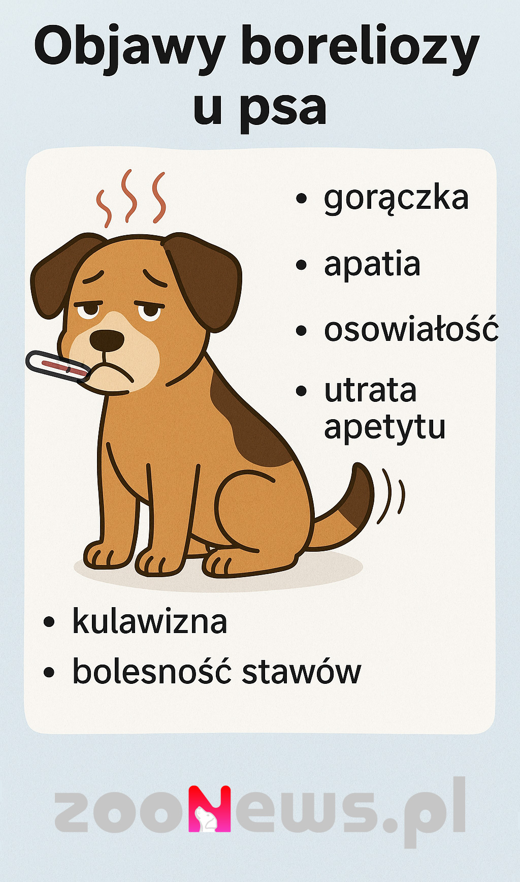 Borelioza u psa infografika