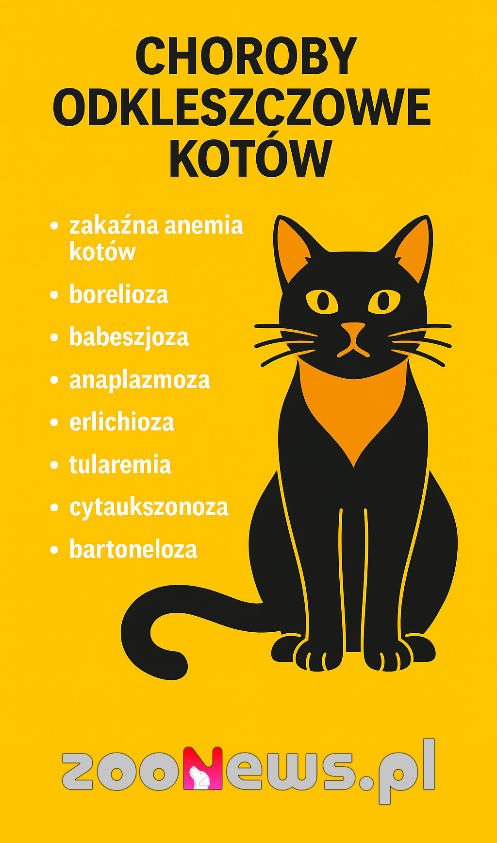 Choroby odkleszczowe u kotów infografika