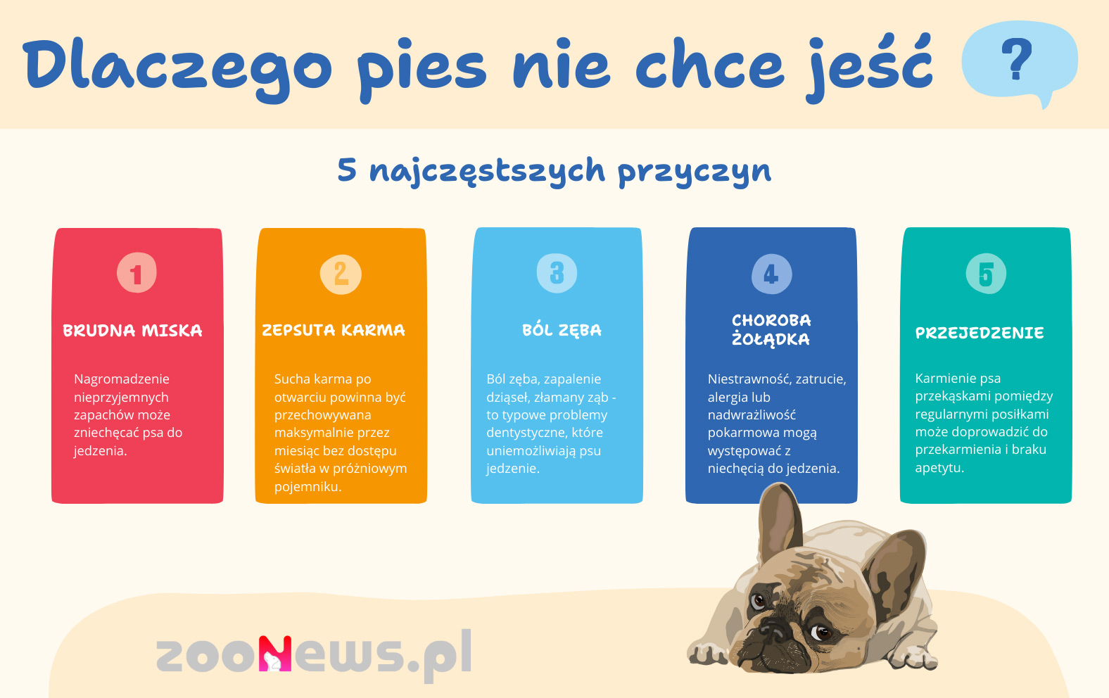 Infografika przedstawiająca 5 powodów, dlaczego pies nie je suchej karmy