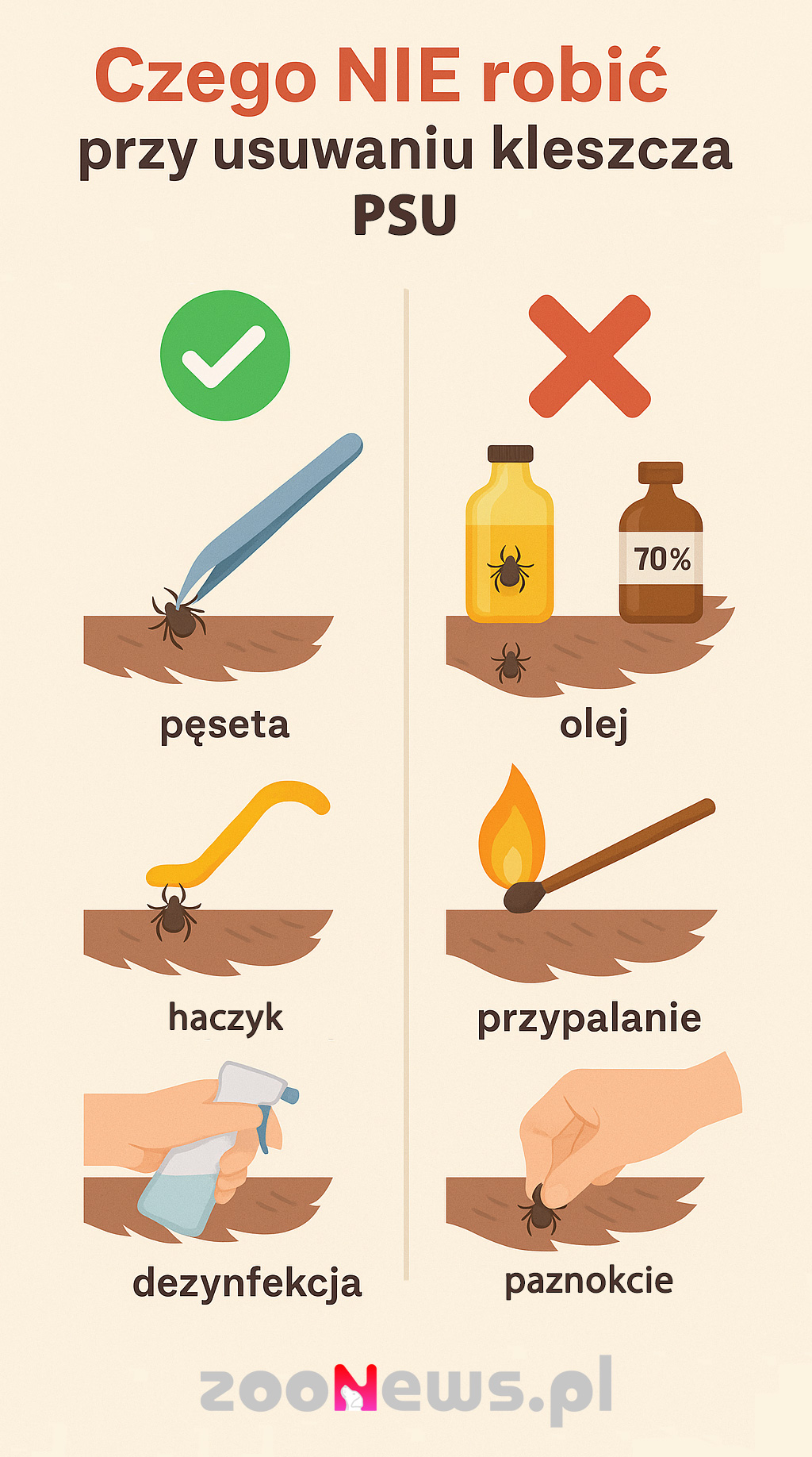 Jak nie usuwać kleszcza u psa infografika
