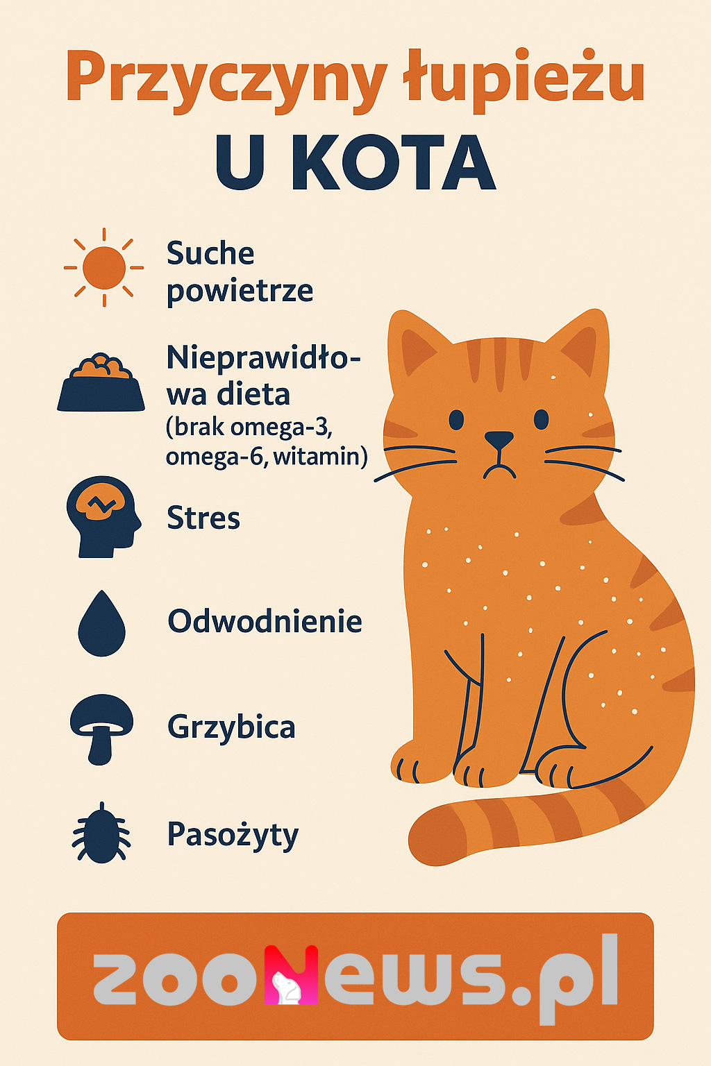 Łupież u kota infografika