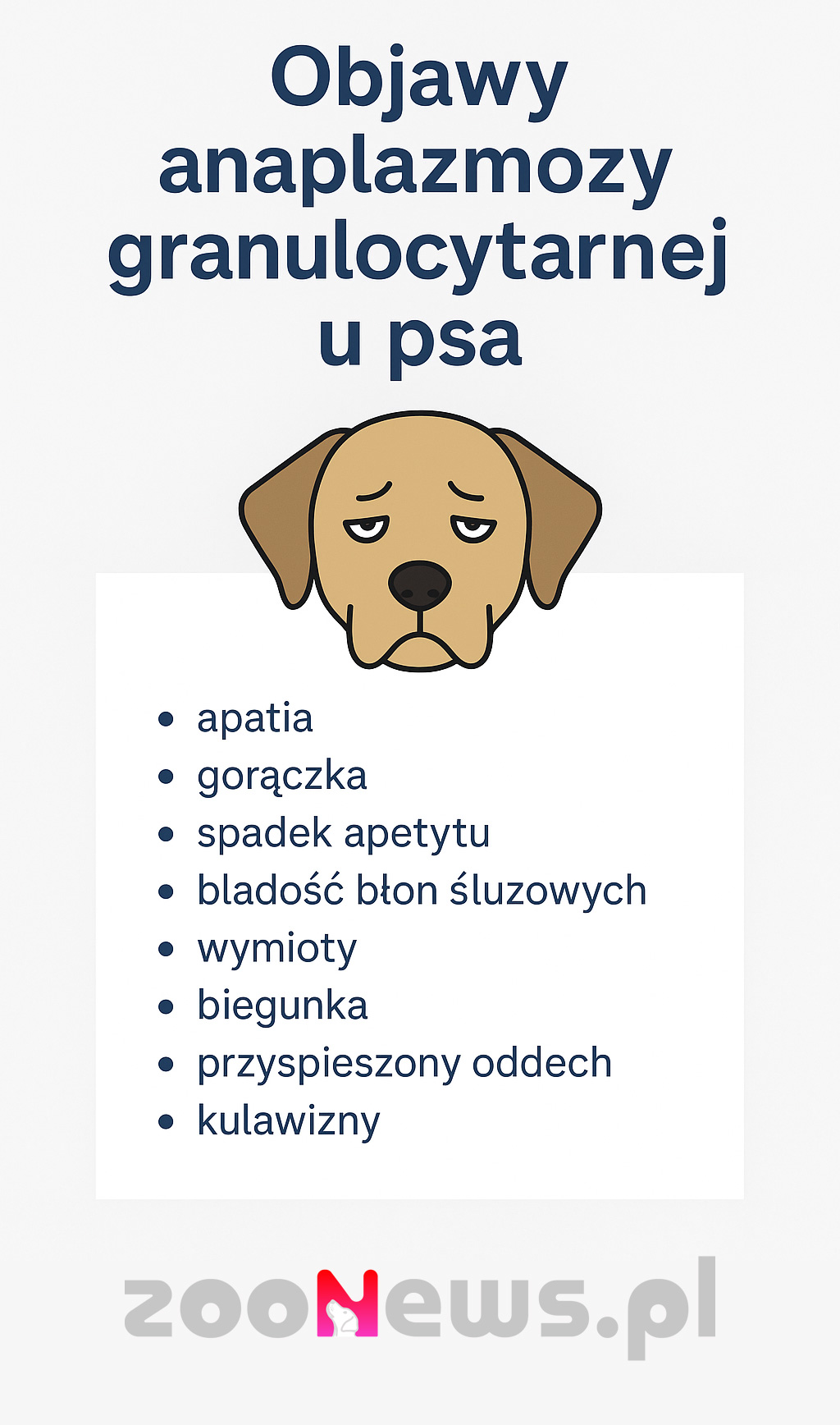 Objawy anaplazmozy u psa infografika