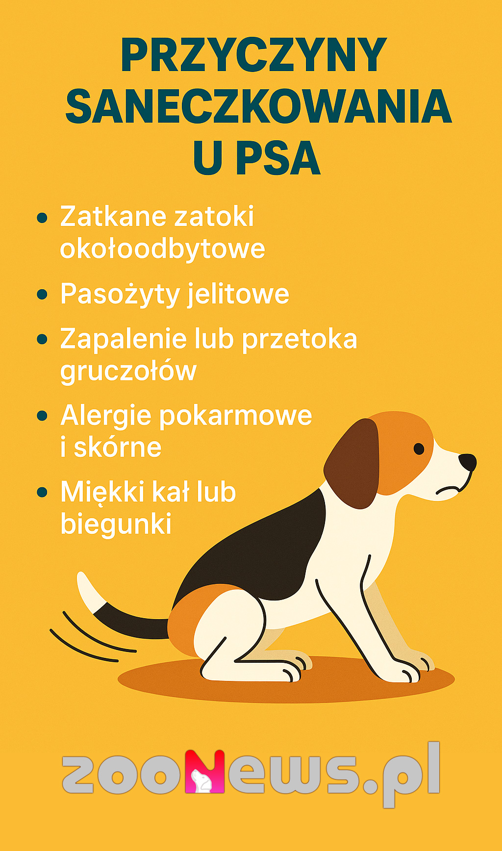 Saneczkowanie u psa infografika