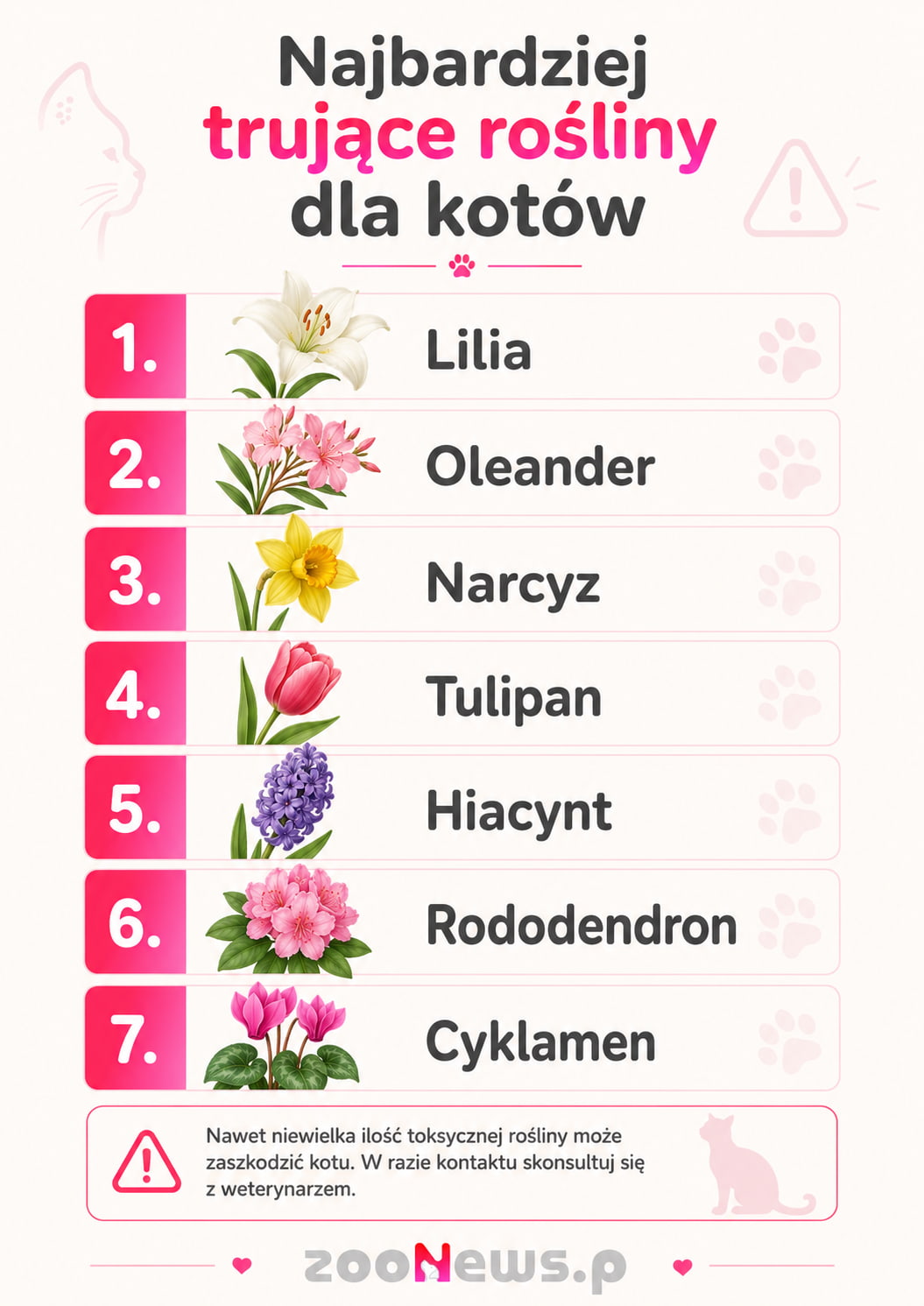 rośliny są trujące dla kota infografika