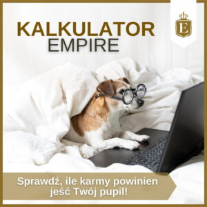 Kalkulator karmy dla psa