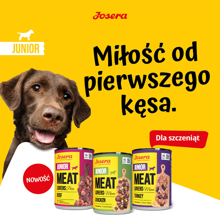 Miłość od pierwszego kęsa z Joserą