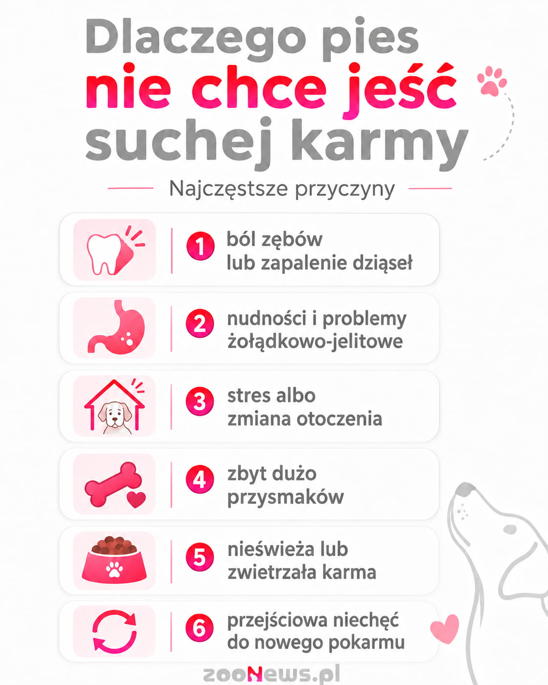 Dlaczego pies nie chce jeść suchej karmy infografika