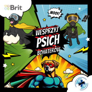 Psi Bohaterowie