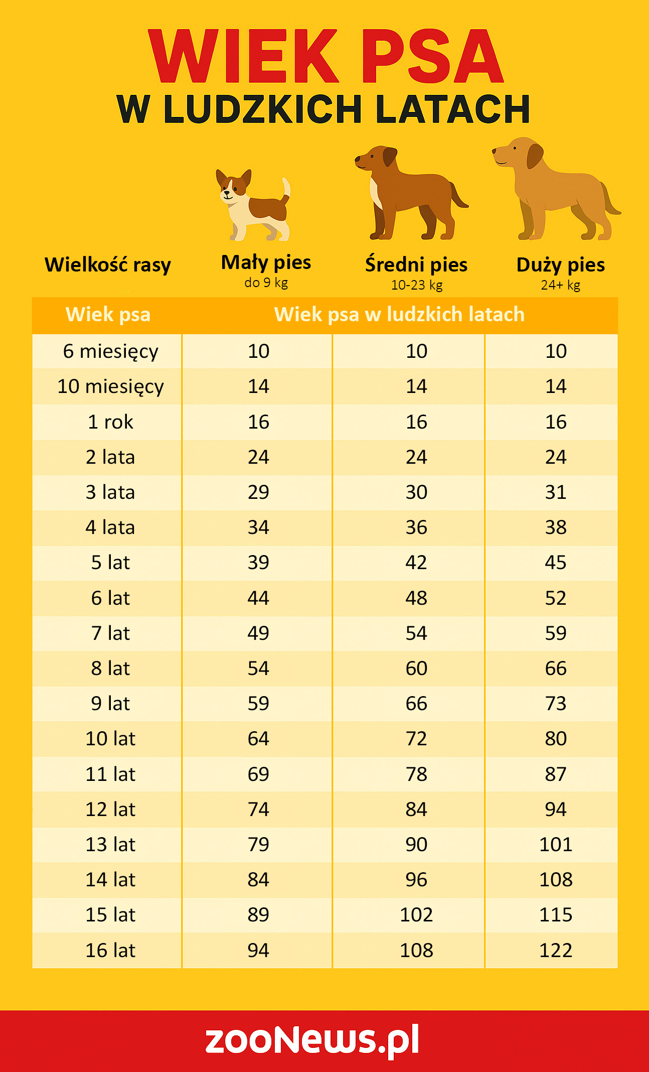 Wiek psa na ludzkie infografika