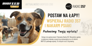 Społeczność Radia 357 funduje karmę dla zwierząt ze schronisk