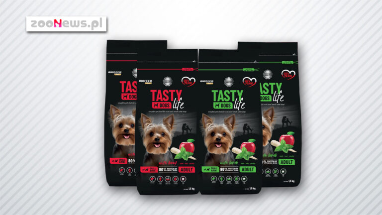 Karma Tasty Dogs Life Small & Mini – uczta dla małych smakoszy