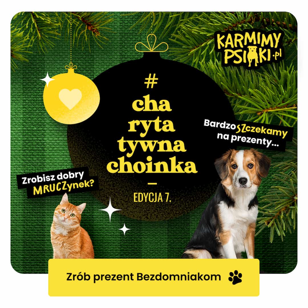 7. edycja akcji #CharytatywnaChoinka od Karmimy Psiaki
