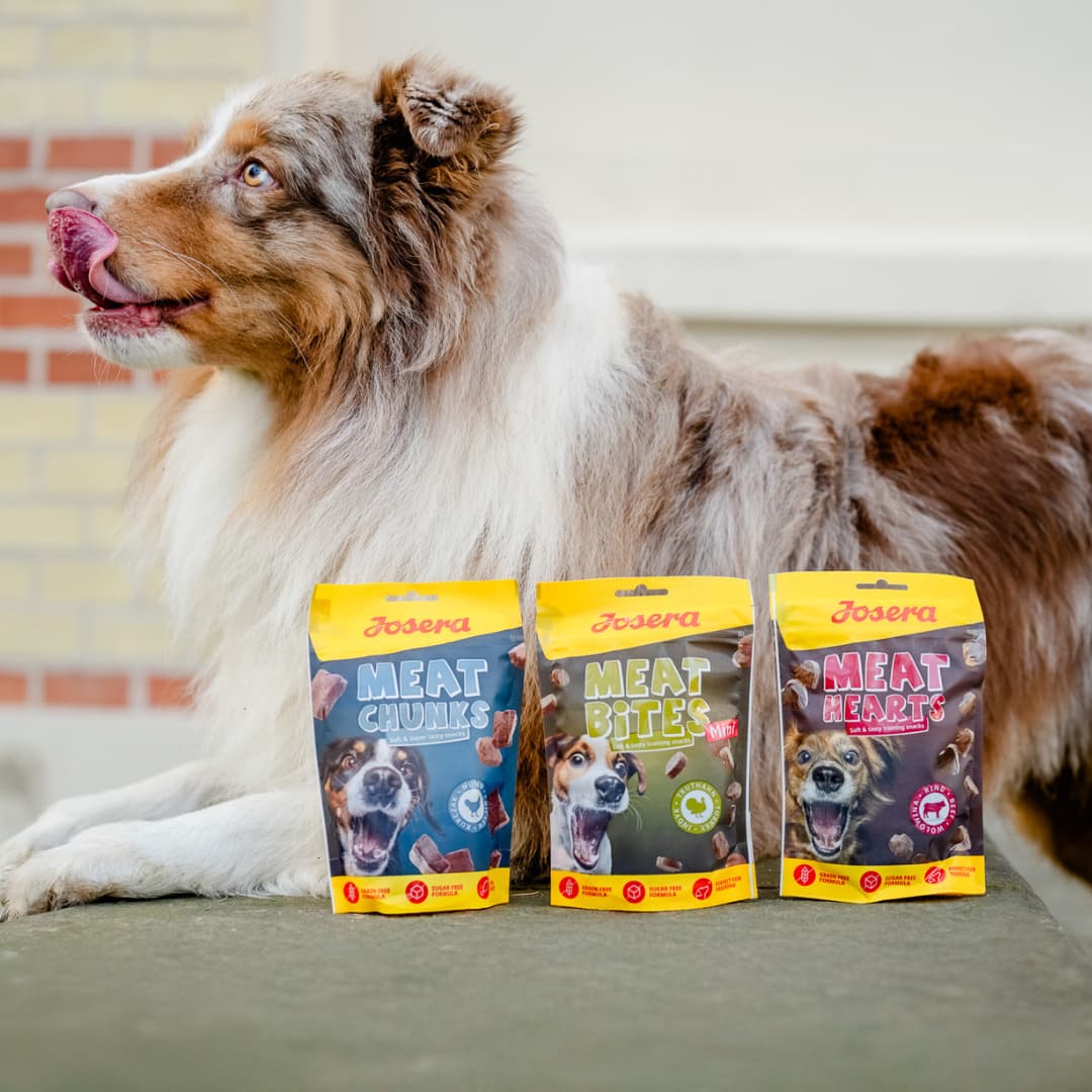 Małe przysmaki, wielka radość!