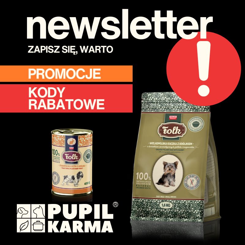 Newsletter Pupilkarma.pl — to się opłaca!
