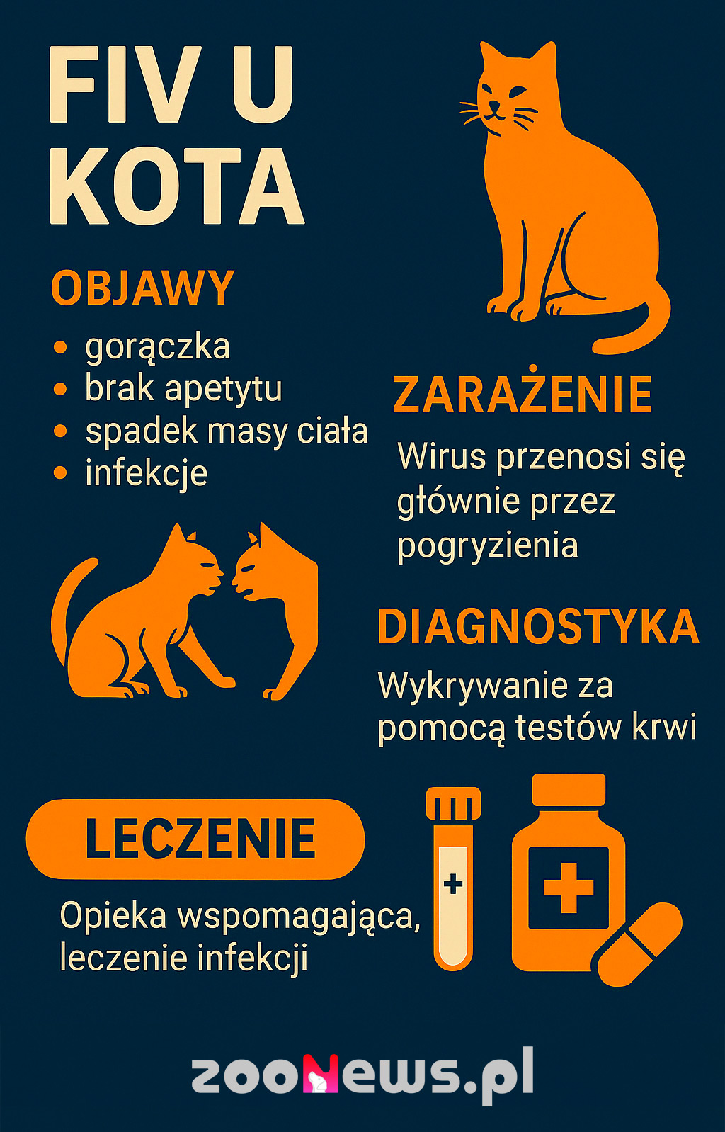 FIV u kota infografika