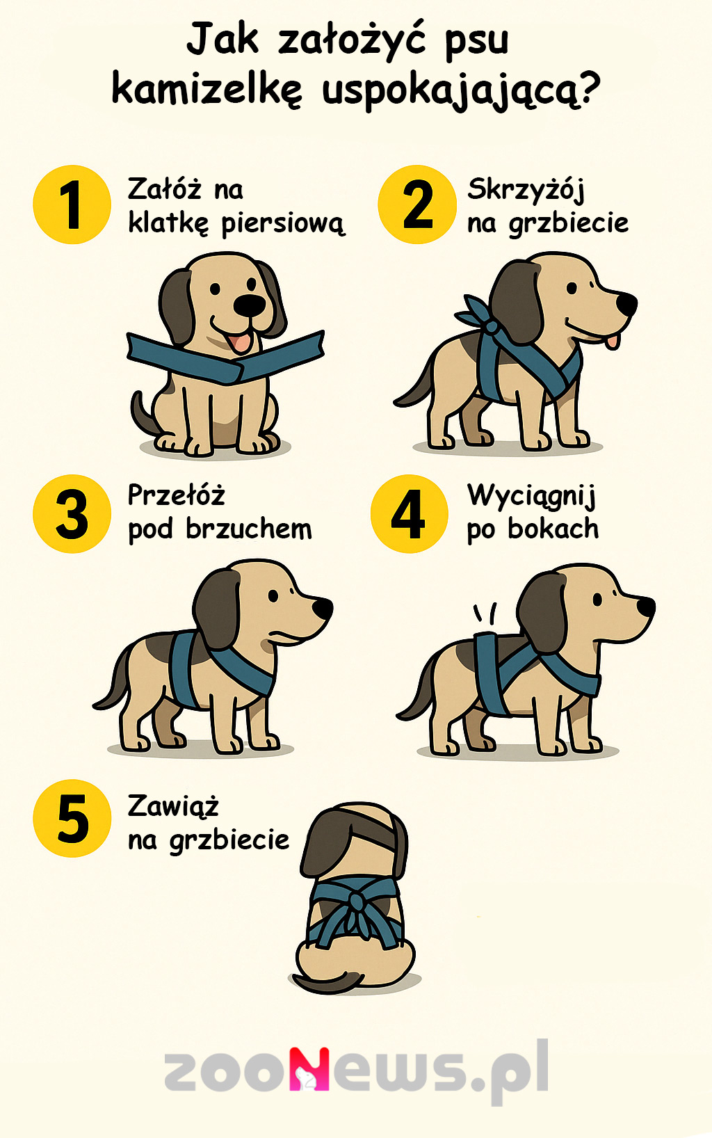 Kamizelka antystresowa dla psa - infografika