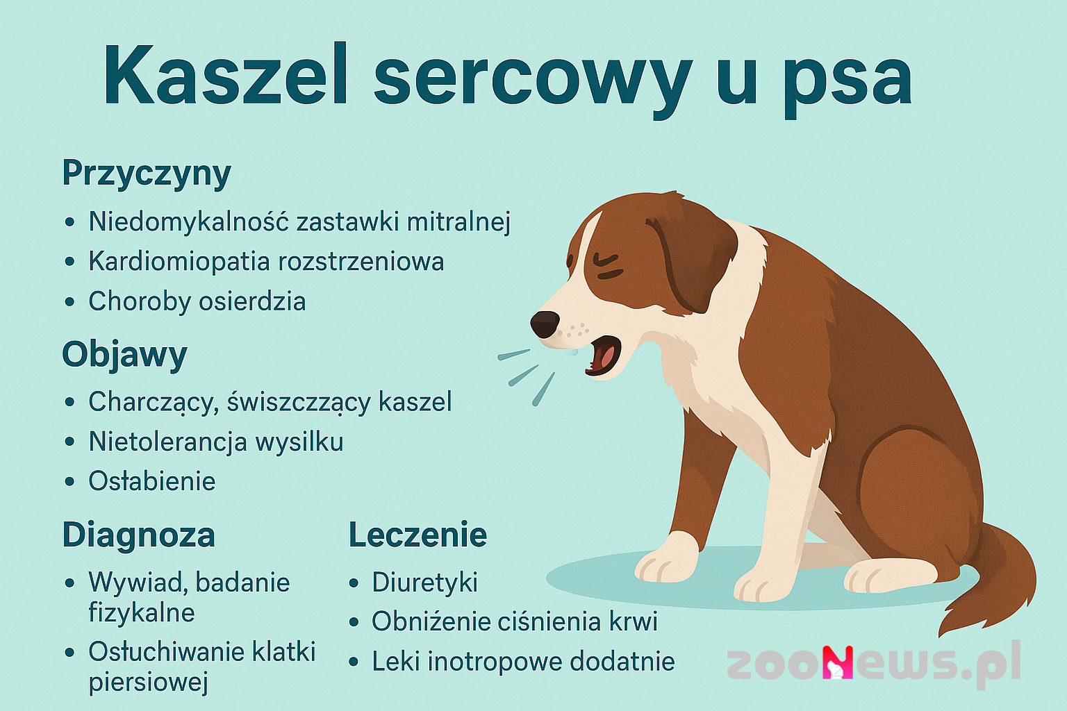 Infografika prezentująca najważniejsze informacje o kaszlu sercowym u psa
