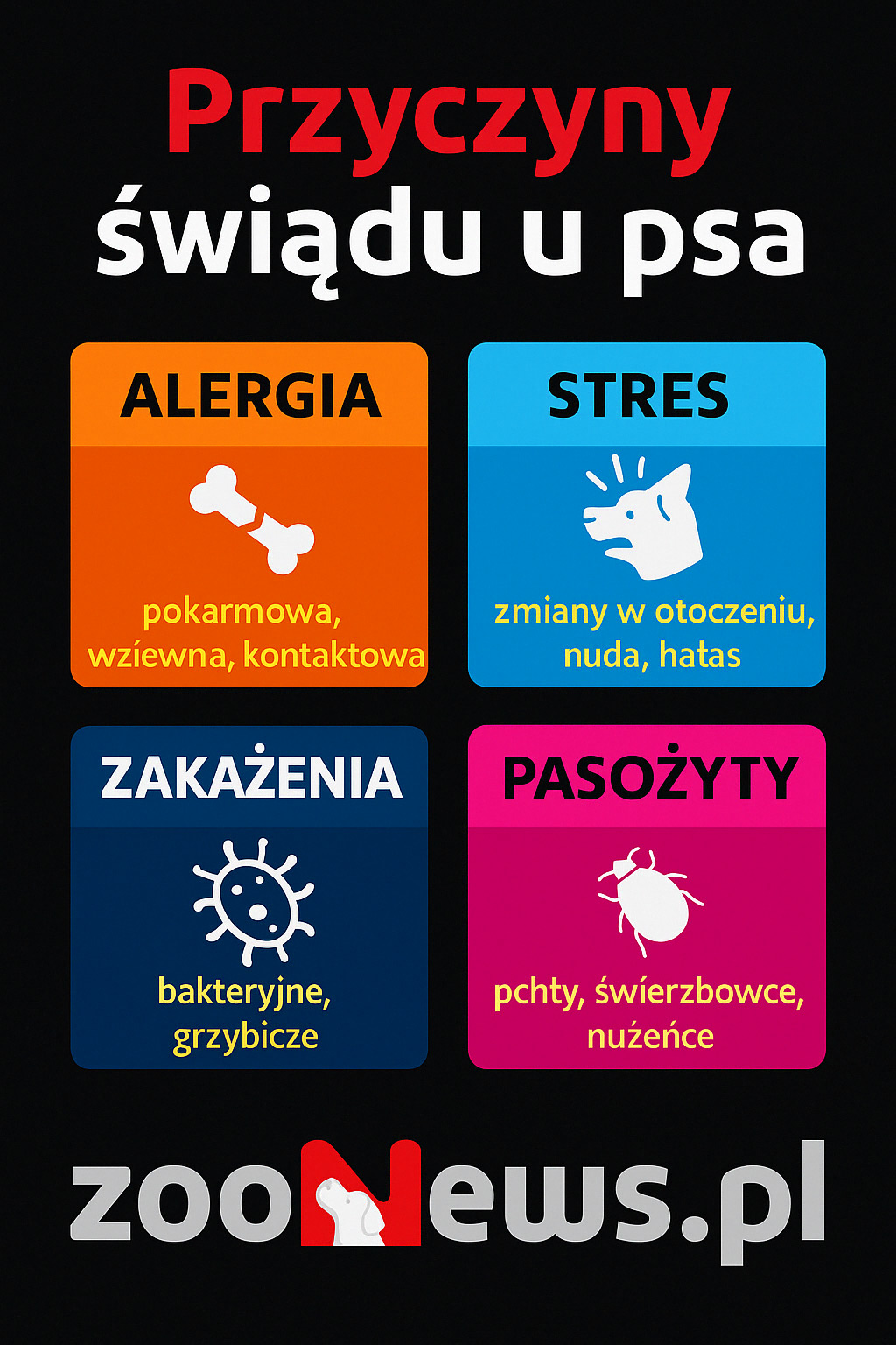 Świąd u psa infografika