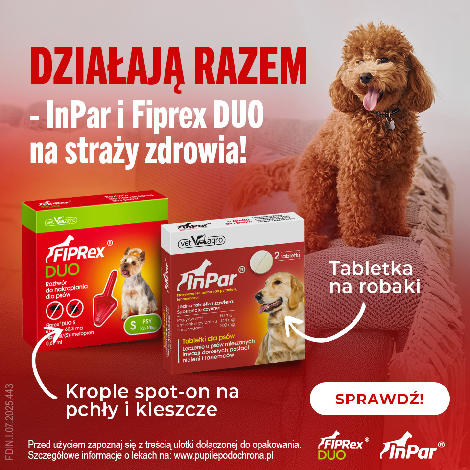 Pomóż im cieszyć się każdym dniem – zadbaj o zdrowie i komfort swojego pupila