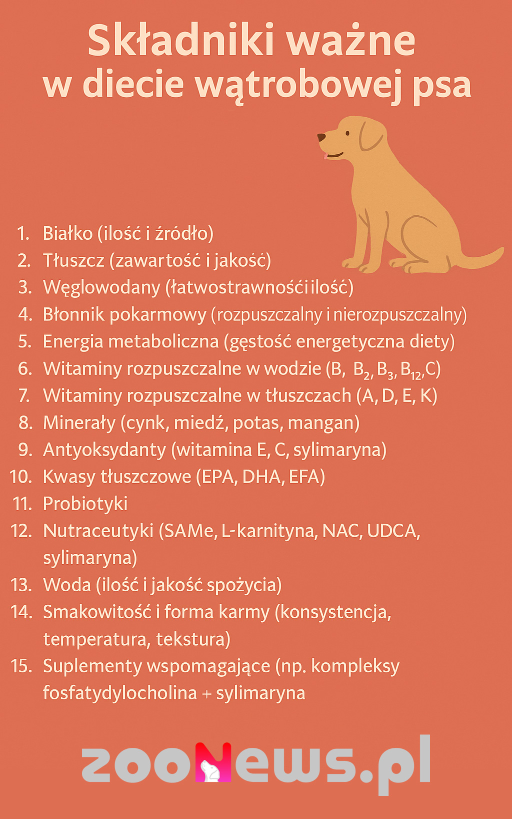 Dieta wątrobowa dla psa infografika