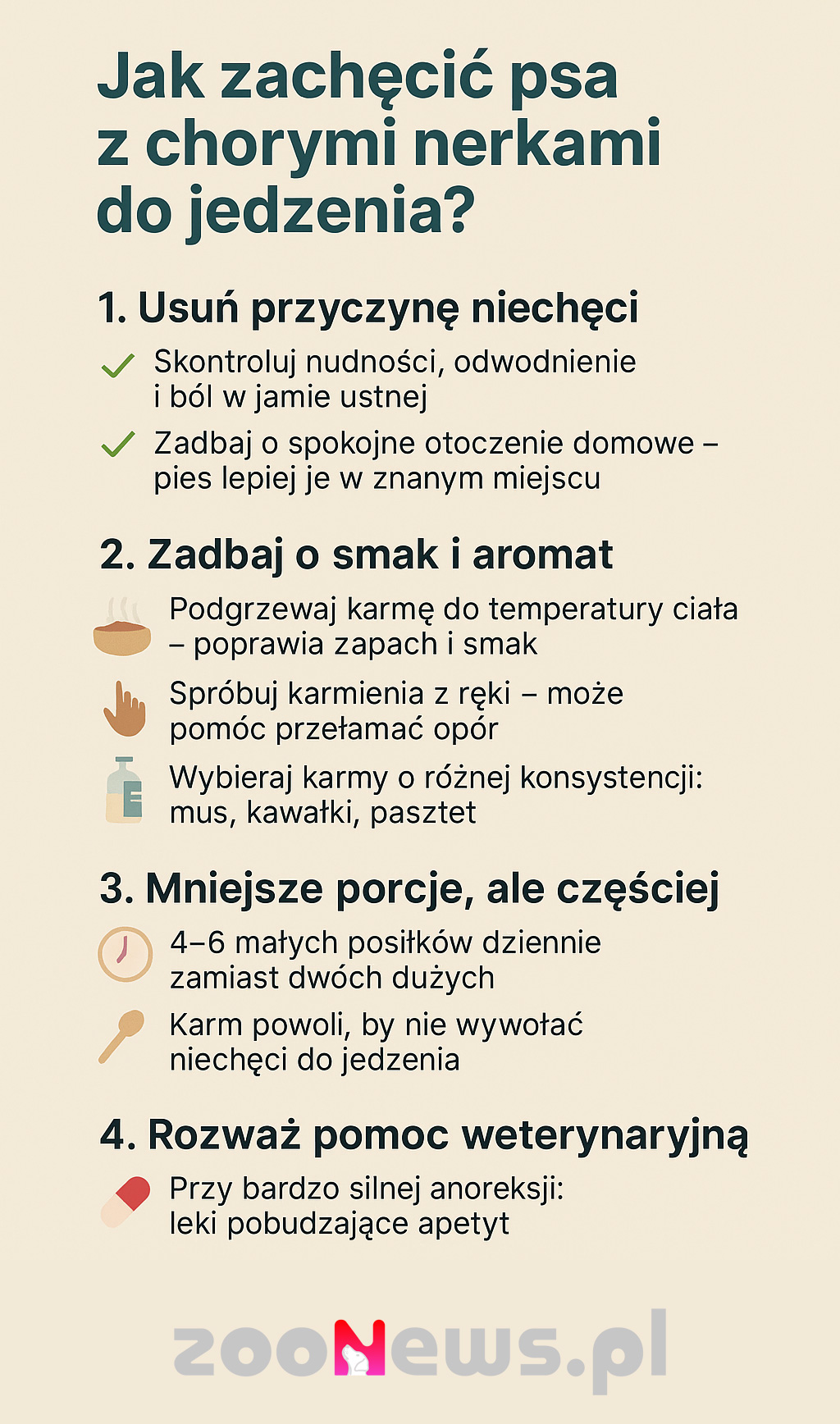 Jak zachęcić psa z chorymi nerkami do jedzenia infografika