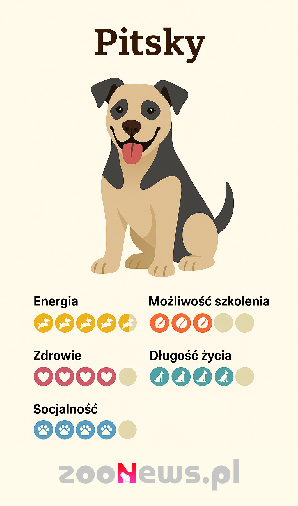 Pitsky infografika