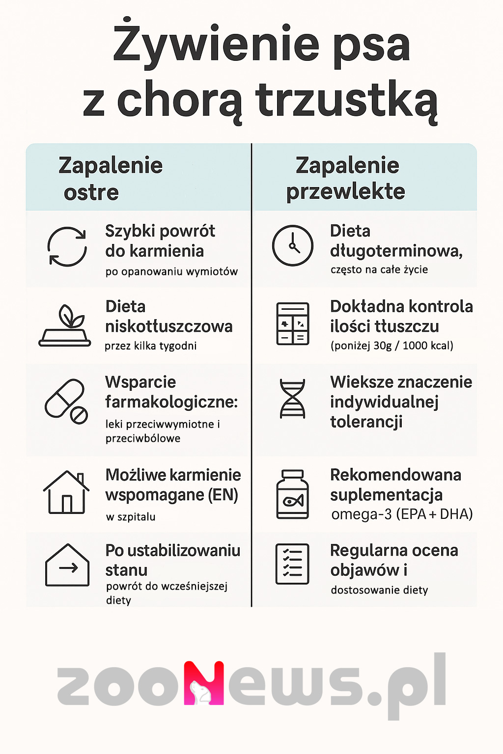 Żywienie psa z chorą trzustką infografika