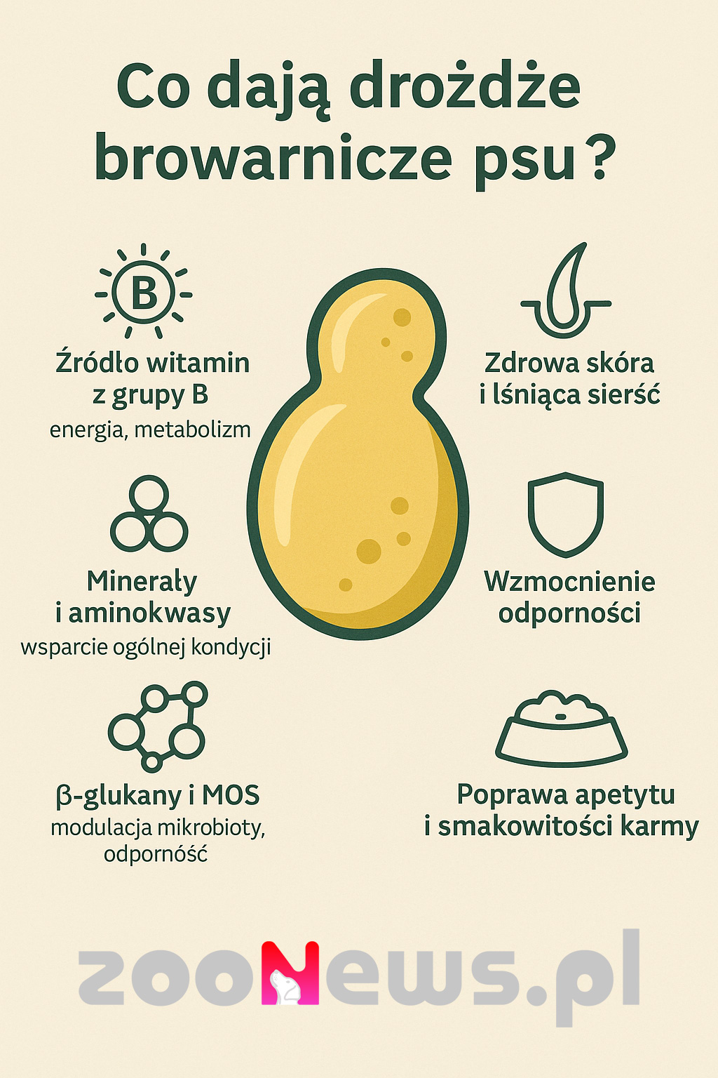 Drożdże dla psa infografika
