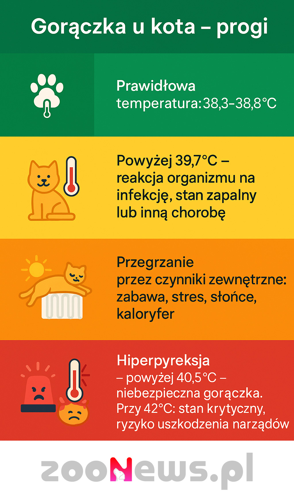 Gorączka u kota infografika