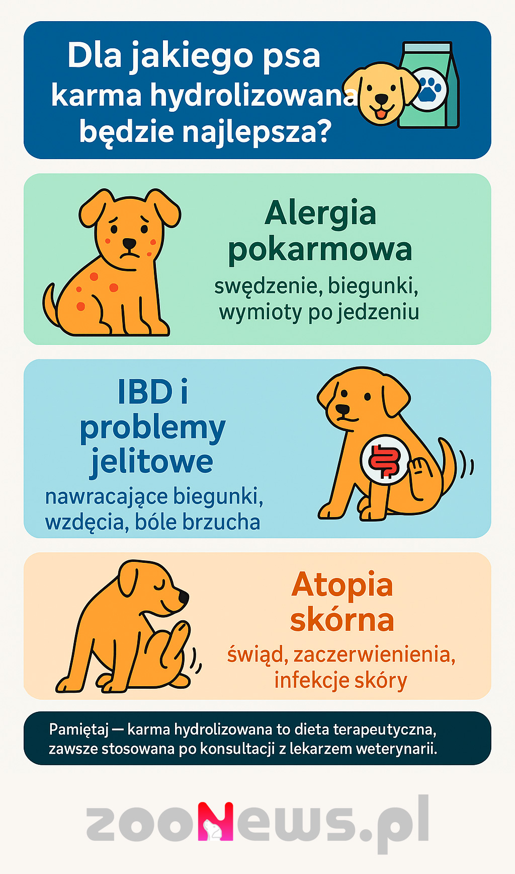 Karma hydrolizowana dla psa infografika