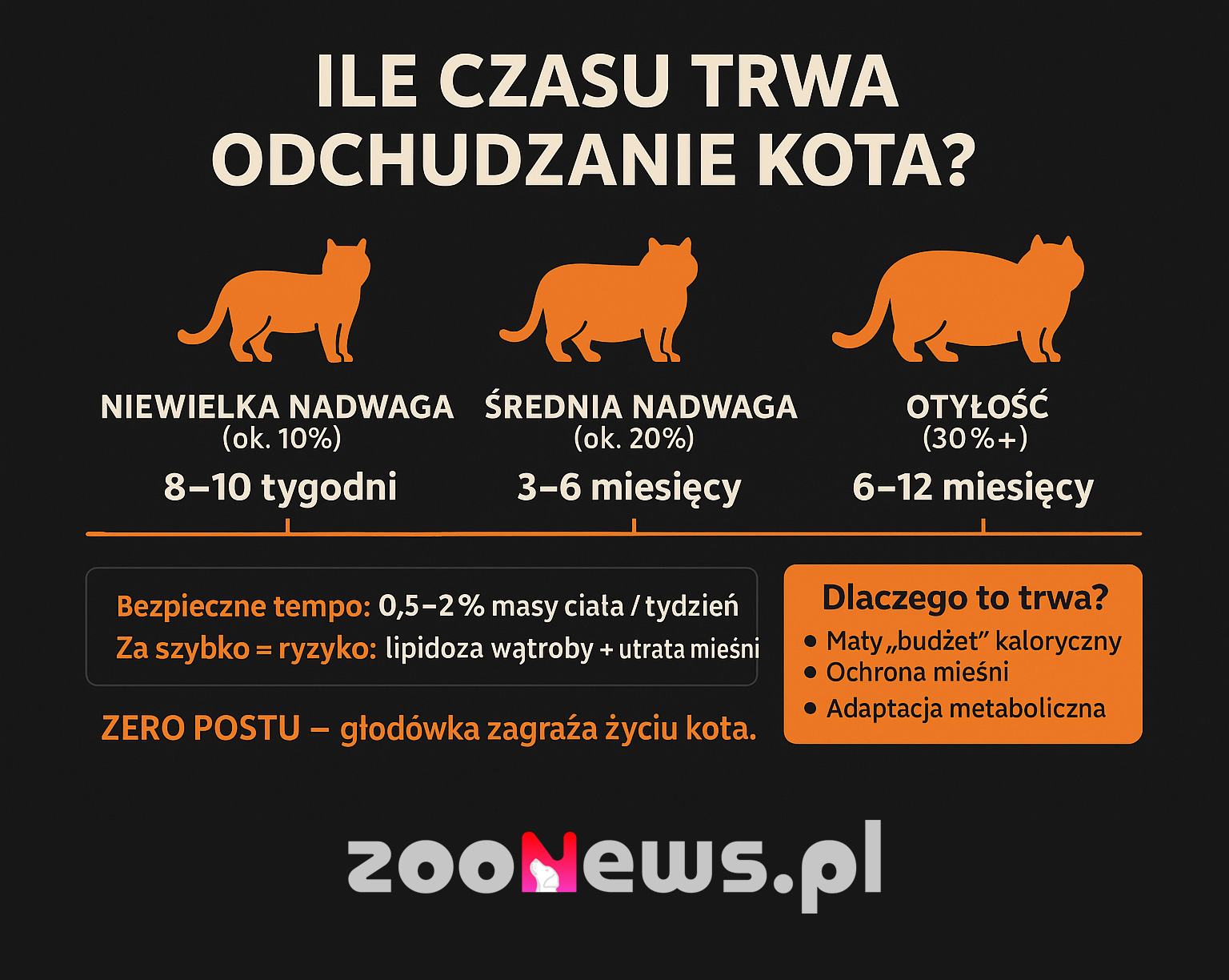 Ile czasu trwa odchudzanie kota infografika