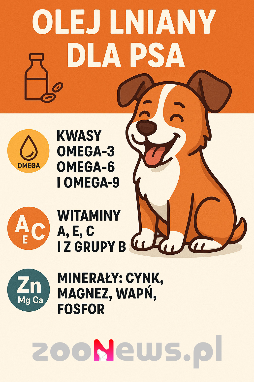 Olej lniany dla psa infografika