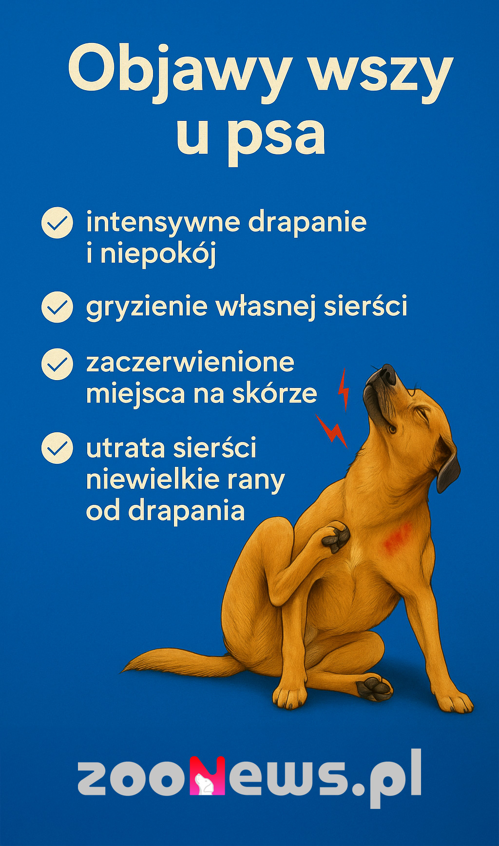 Wszy u psa infografika
