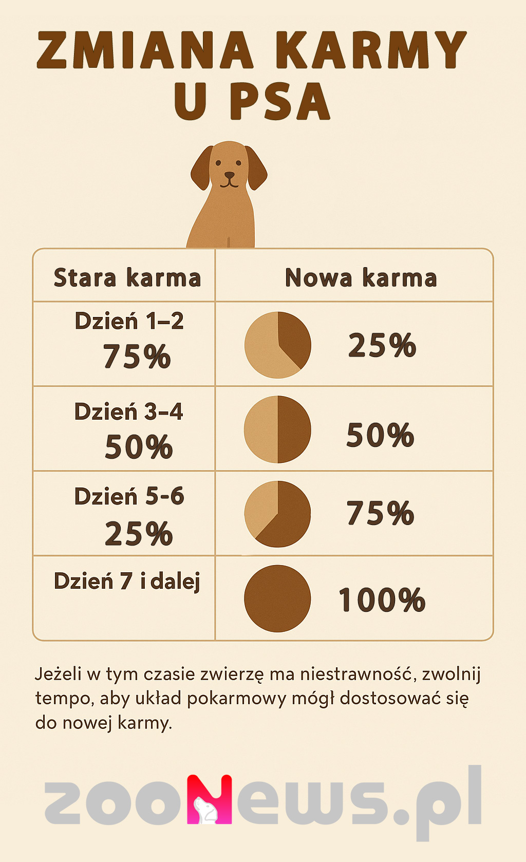 Zmiana karmy u psa infografika