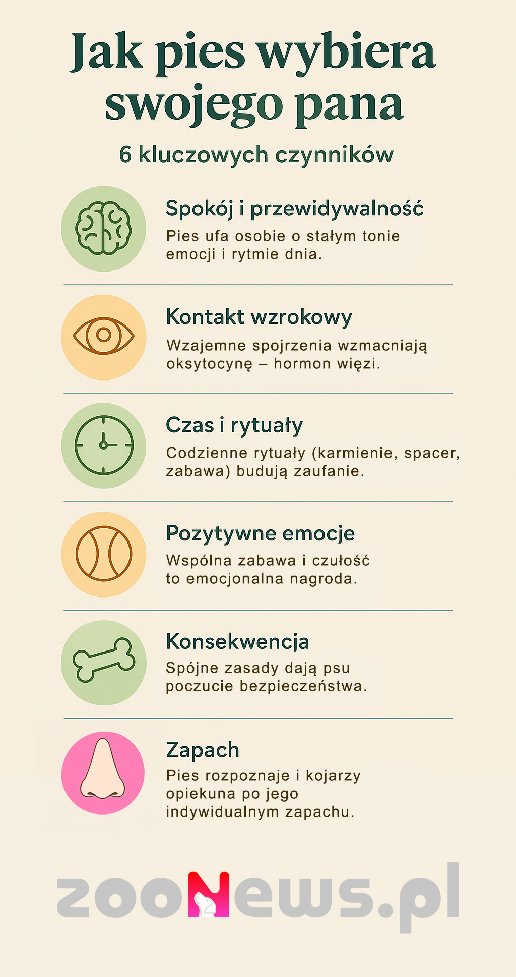 Jak pies wybiera pana infografika