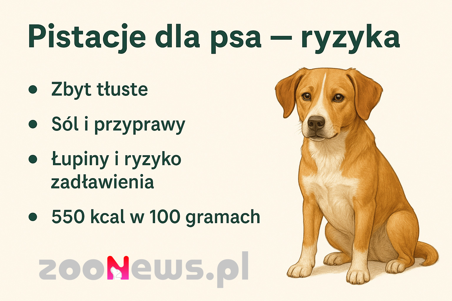 Pistacje dla psa infografika