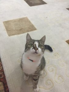 0054EB53-5F67-4358-9C18-391556DA3298