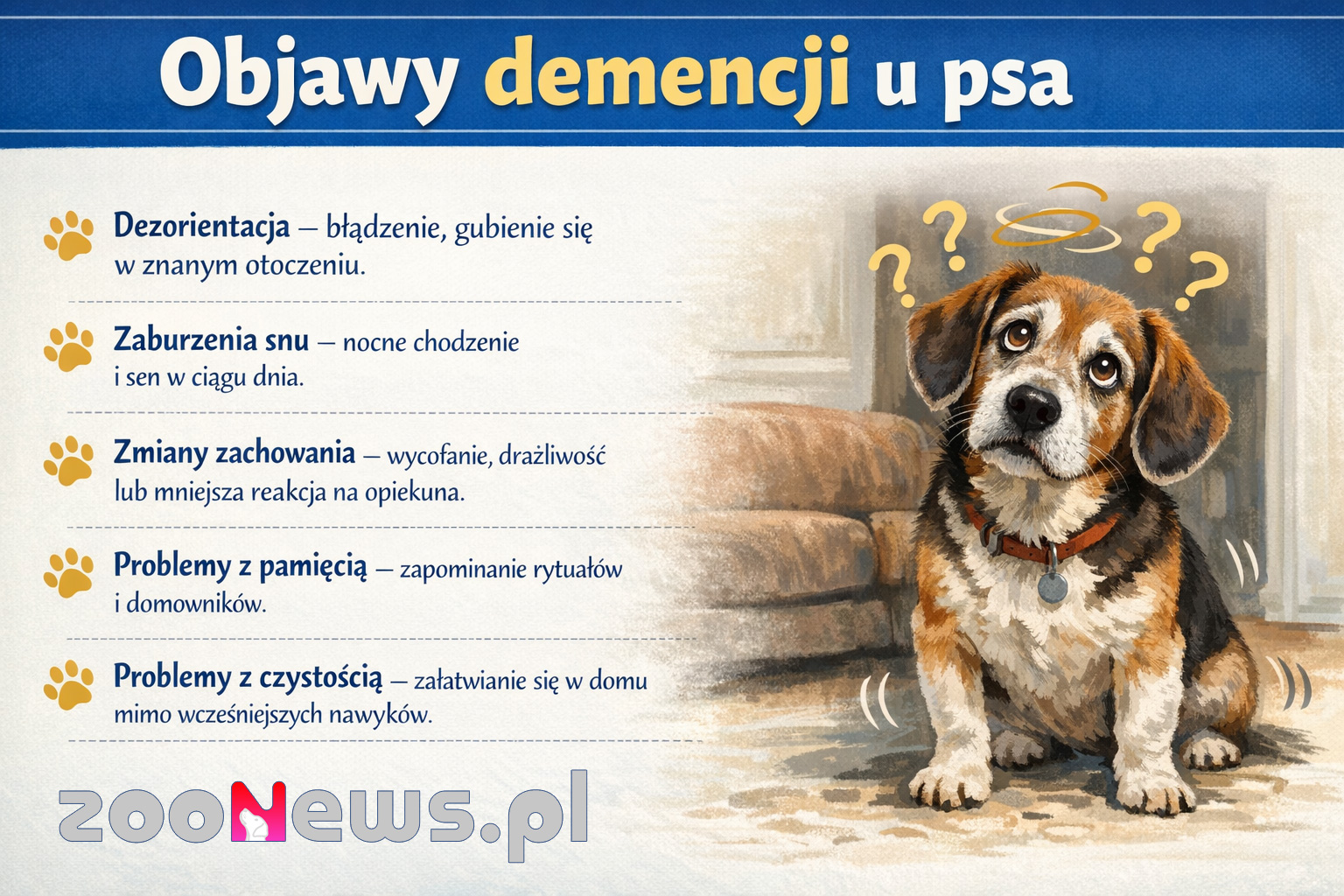 Objawy demencji u psa infografika