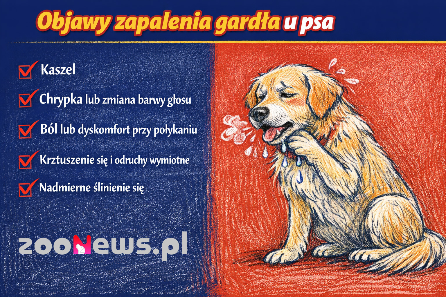 Objawy zapalenia gardła u psa infografika