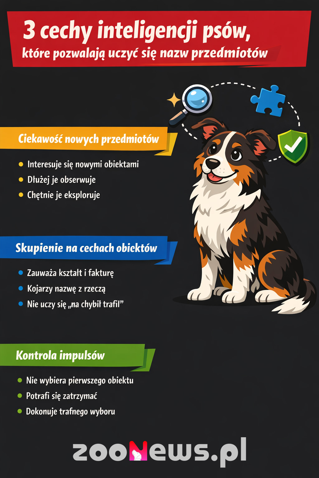 Cechy inteligencji psów label learner