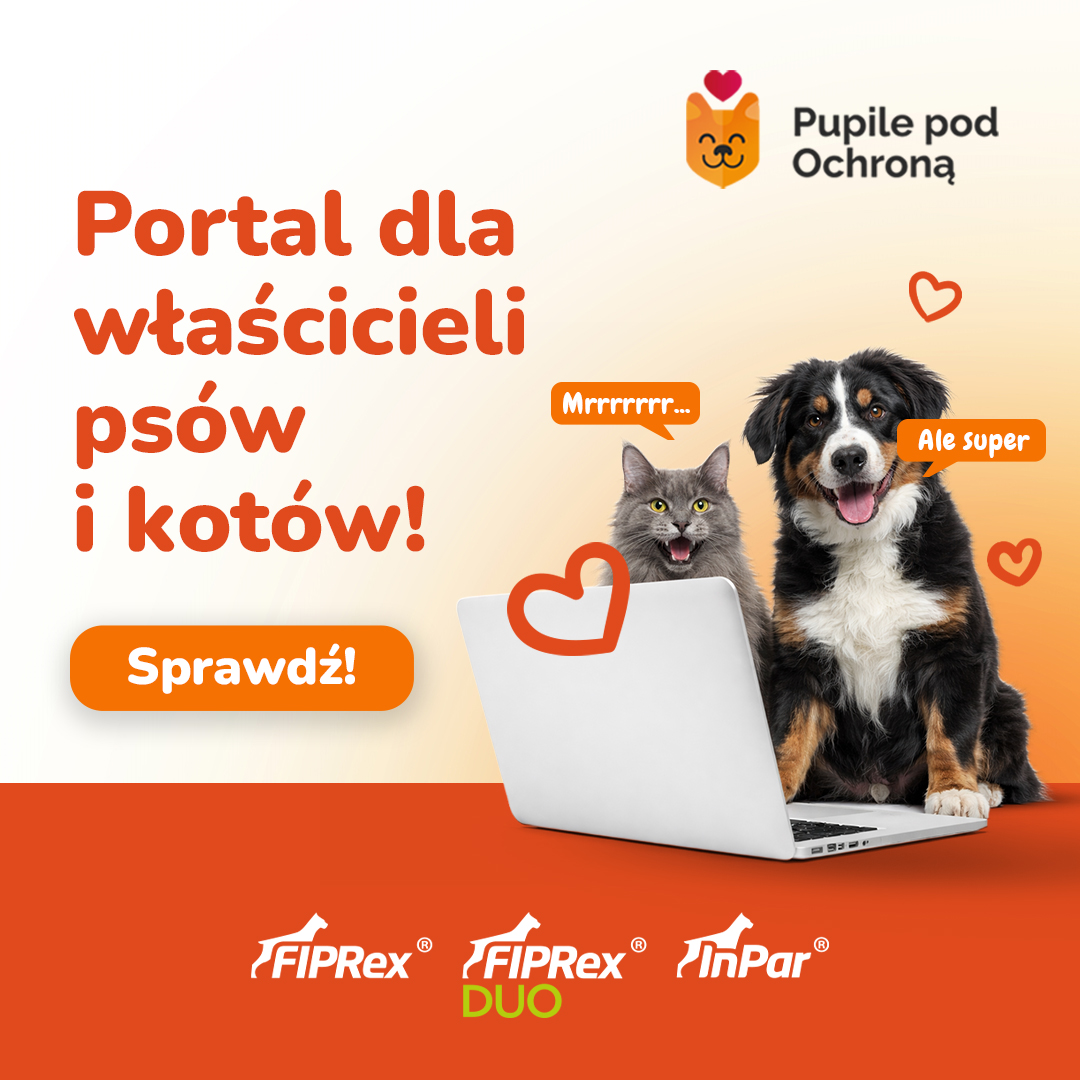 Wejdź na PupilePodOchrona.pl