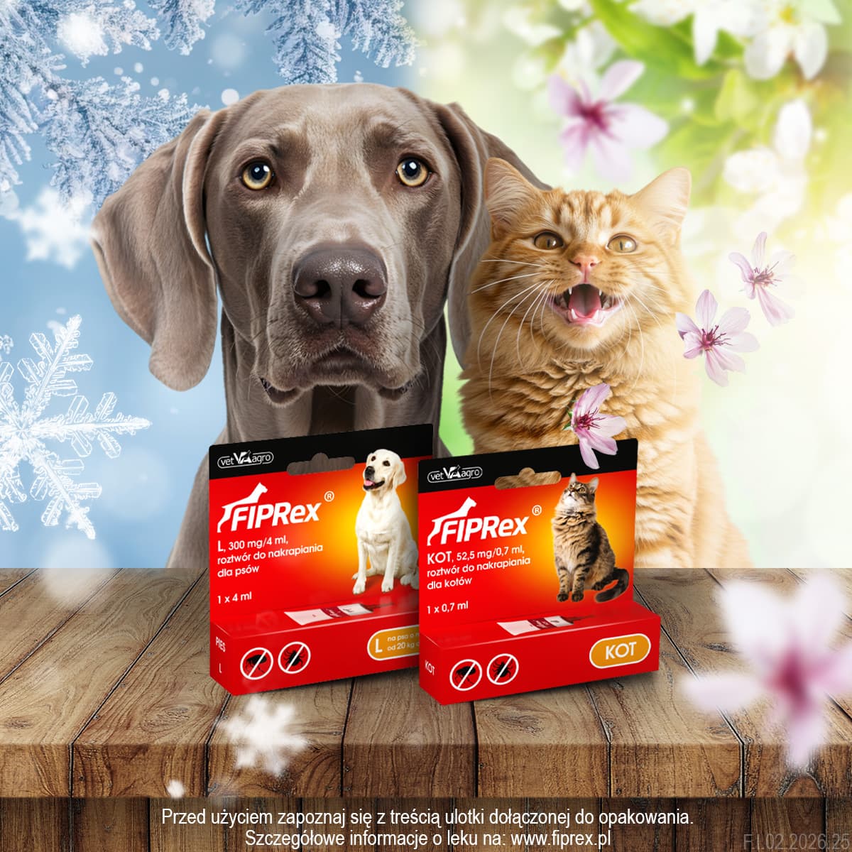 Nie czekaj i zabezpiecz swojego pupila już teraz!