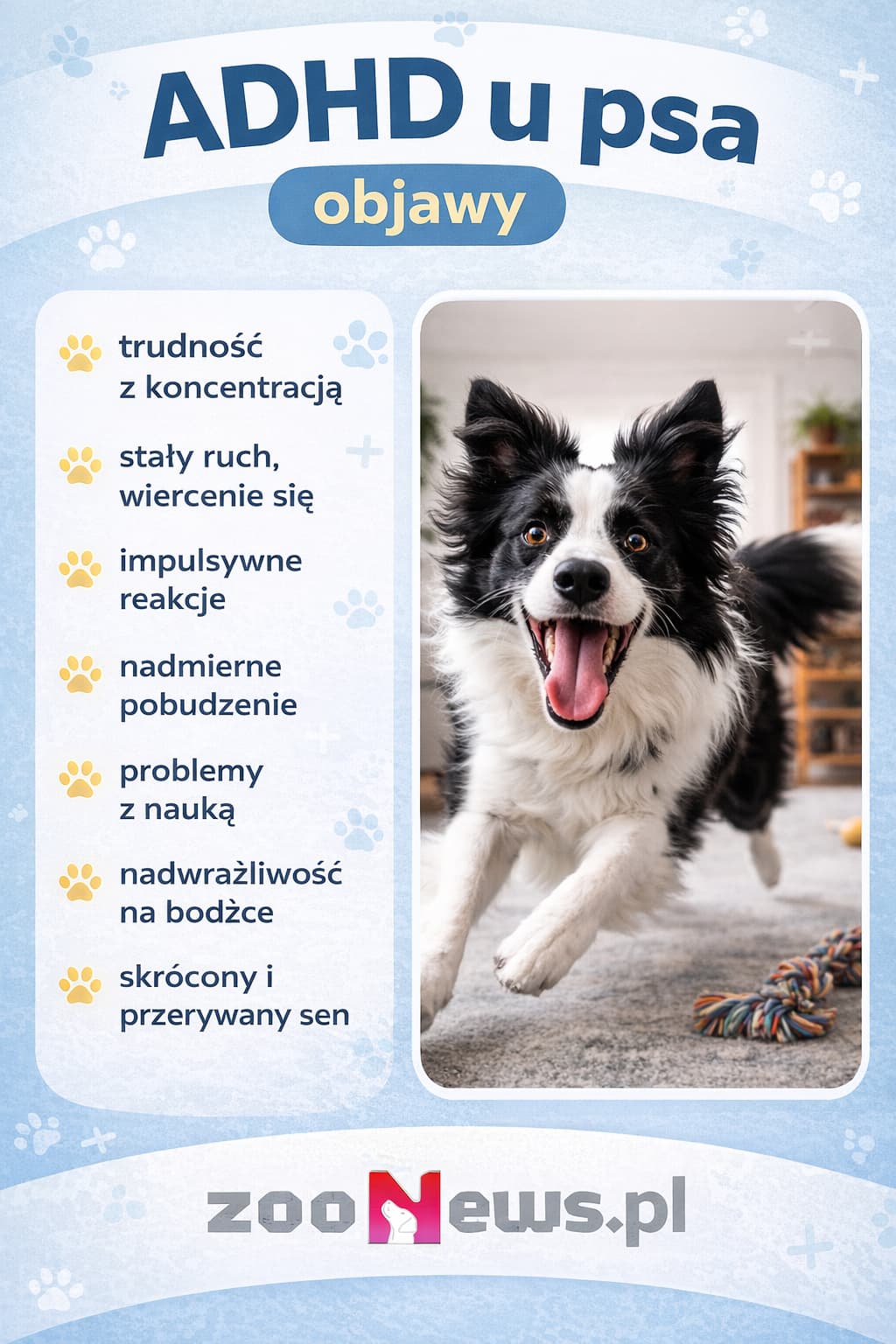ADHD u psa infografika
