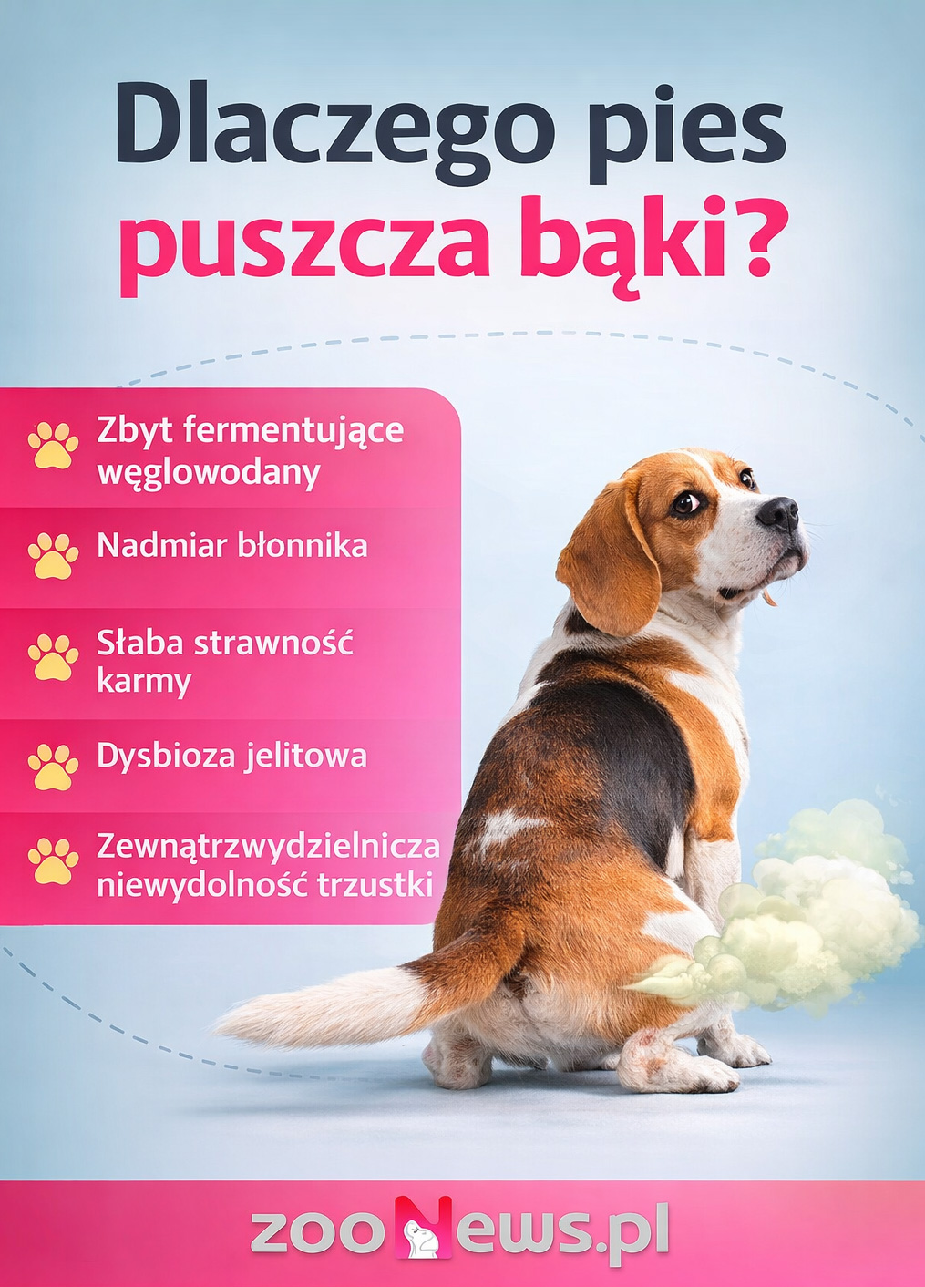 Dlaczego pies puszcza baki infografika