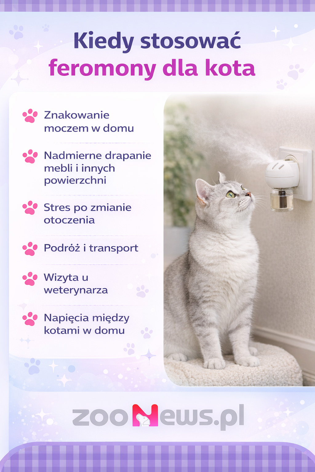 Kiedy stosować feromony dla kota infografika