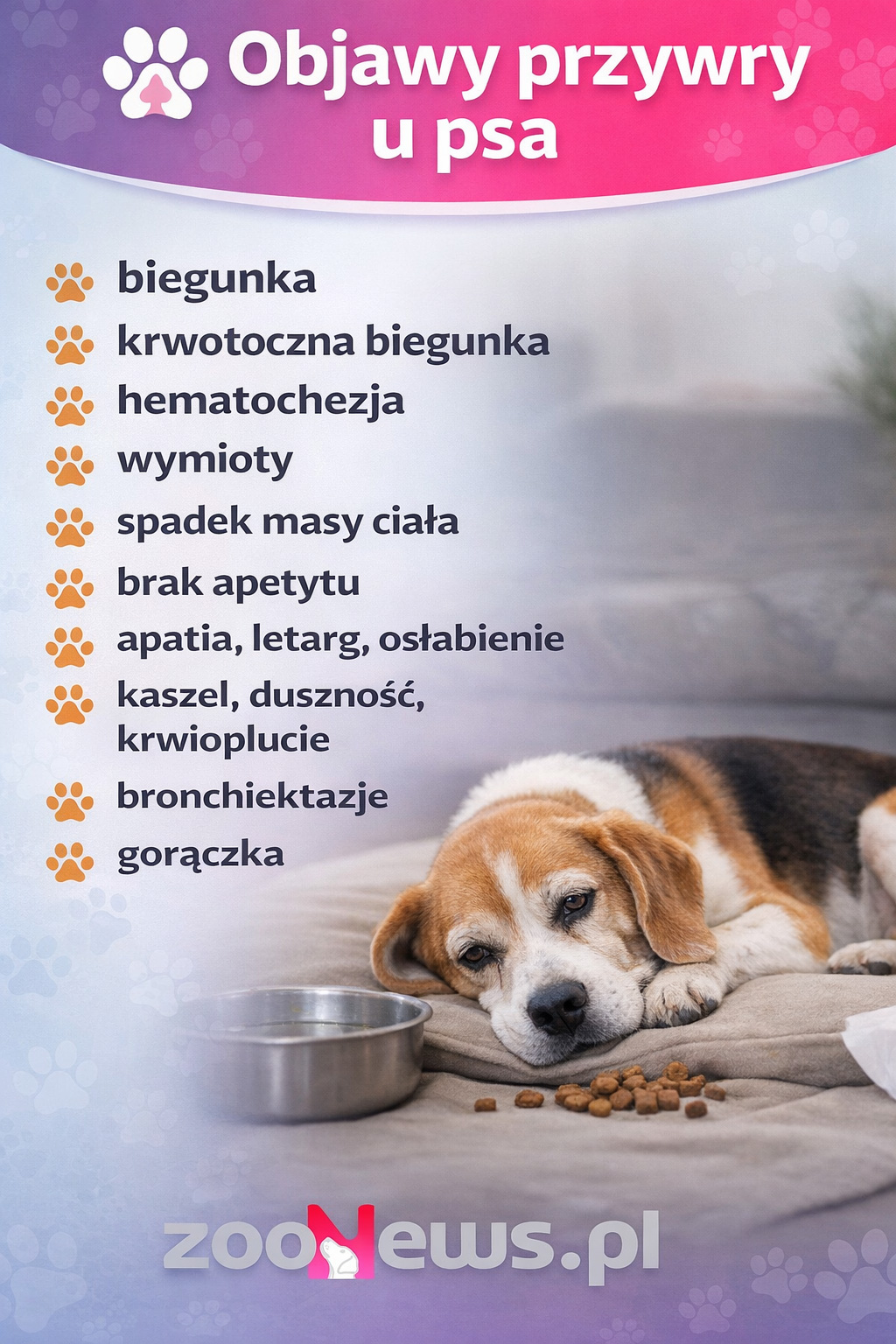 Przywra u psa objawy infografika